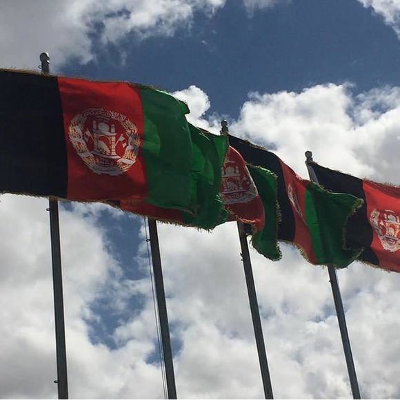 Meet your Posher, Sandy - Picture 1 of 1